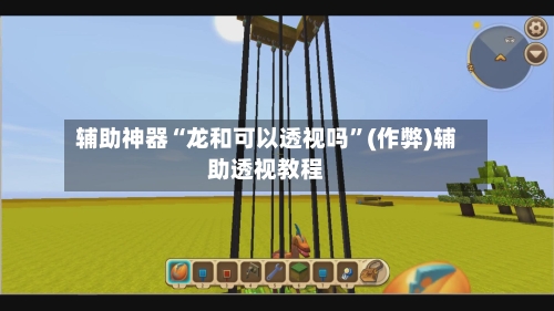 辅助神器“龙和可以透视吗”(作弊)辅助透视教程-第3张图片