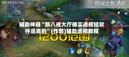 辅助神器“新八戒大厅确实透视挂软件是真的”(作弊)辅助透视教程-第3张图片