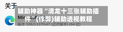 辅助神器“清龙十三张辅助插件	”(作弊)辅助透视教程-第1张图片