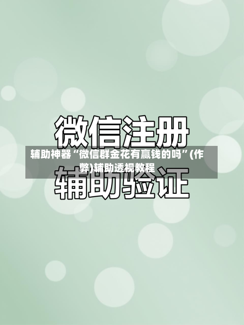 辅助神器“微信群金花有赢钱的吗	”(作弊)辅助透视教程-第1张图片