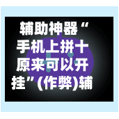 辅助神器“手机上拼十原来可以开挂	”(作弊)辅助透视教程-第3张图片