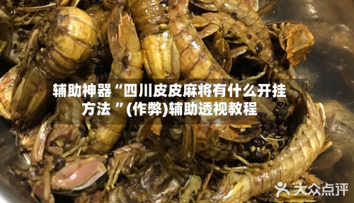辅助神器“四川皮皮麻将有什么开挂方法 	”(作弊)辅助透视教程-第2张图片