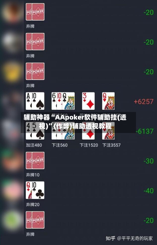 辅助神器“AApoker软件辅助挂(透视)	”(作弊)辅助透视教程-第1张图片