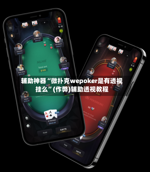 辅助神器“微扑克wepoker是有透视挂么	”(作弊)辅助透视教程-第3张图片