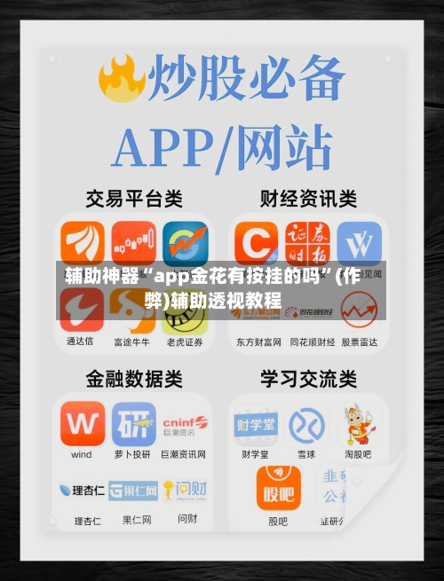 辅助神器“app金花有按挂的吗”(作弊)辅助透视教程-第1张图片