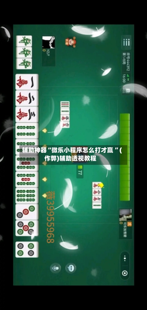 辅助神器“微乐小程序怎么打才赢 ”(作弊)辅助透视教程-第2张图片