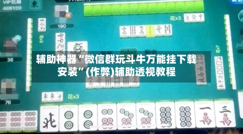 辅助神器“微信群玩斗牛万能挂下载安装	”(作弊)辅助透视教程-第3张图片