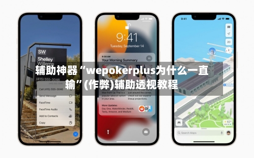 辅助神器“wepokerplus为什么一直输”(作弊)辅助透视教程-第2张图片