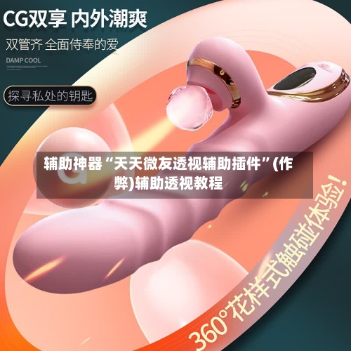 辅助神器“天天微友透视辅助插件”(作弊)辅助透视教程-第3张图片