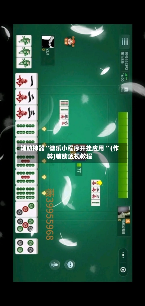 辅助神器“微乐小程序开挂应用 ”(作弊)辅助透视教程-第2张图片