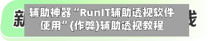辅助神器“RunIT辅助透视软件使用”(作弊)辅助透视教程-第2张图片