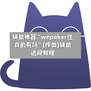 辅助神器“wepoker挂真的有吗	”(作弊)辅助透视教程-第1张图片
