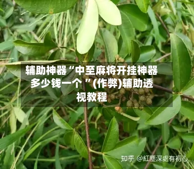 辅助神器“中至麻将开挂神器多少钱一个 ”(作弊)辅助透视教程-第3张图片