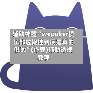 辅助神器“wepoker俱乐部透视挂到底是真的假的”(作弊)辅助透视教程-第2张图片