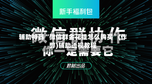 辅助神器“微信群金花挂怎么购买	”(作弊)辅助透视教程-第2张图片