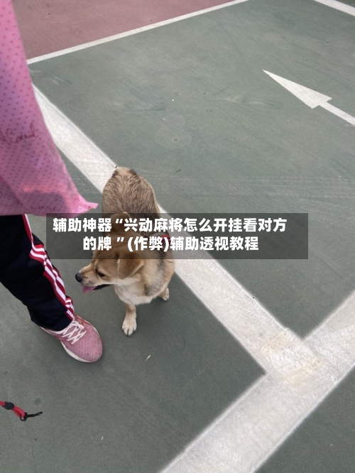 辅助神器“兴动麻将怎么开挂看对方的牌 ”(作弊)辅助透视教程-第2张图片