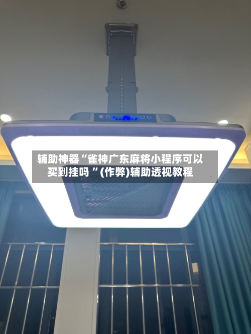 辅助神器“雀神广东麻将小程序可以买到挂吗 ”(作弊)辅助透视教程-第2张图片