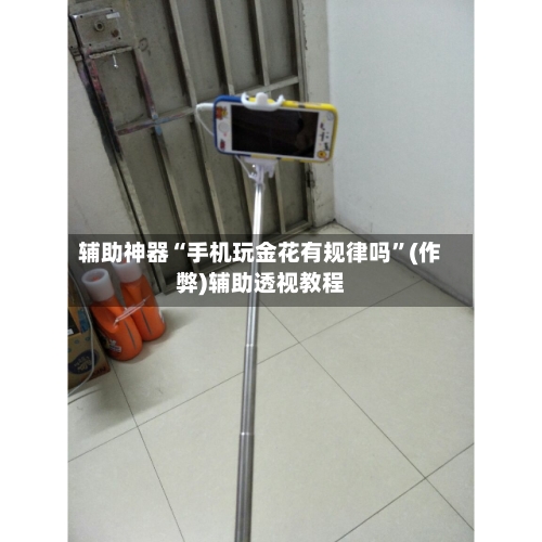 辅助神器“手机玩金花有规律吗”(作弊)辅助透视教程-第2张图片