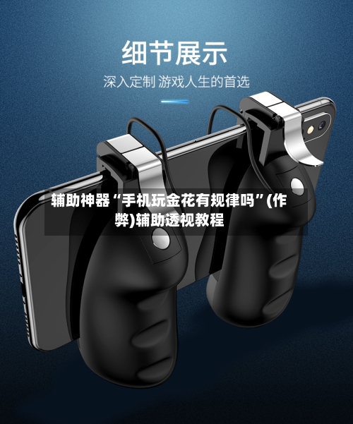 辅助神器“手机玩金花有规律吗”(作弊)辅助透视教程-第3张图片
