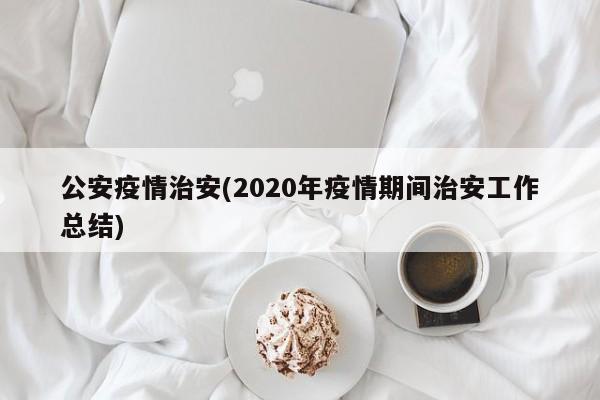 公安疫情治安(2020年疫情期间治安工作总结)