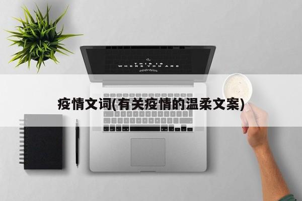 疫情文词(有关疫情的温柔文案)