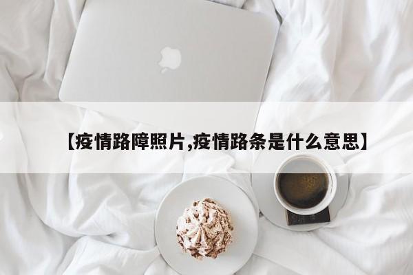 【疫情路障照片,疫情路条是什么意思】