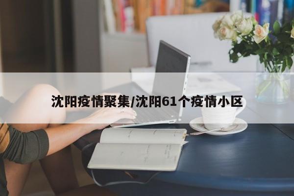 沈阳疫情聚集/沈阳61个疫情小区
